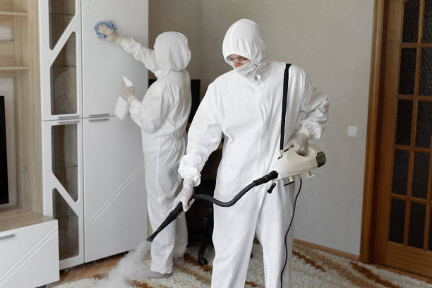 Trusted Sewage Cleanup service in Hallettsville, TX - Four Month Blood Cleanse